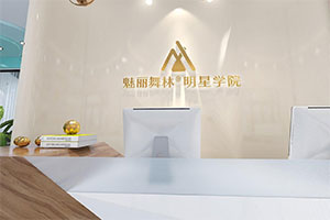 魅力武林培訓機構裝修設計全景圖